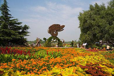 网易：海外工作室开发游戏可能2025年才上市 《逆水寒》手游上半年发售